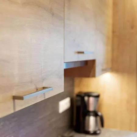 Spacious In Hinterglemm With Ski Boot Heaters Διαμέρισμα Σάαλμπαχ-Χίντεργκλεμ