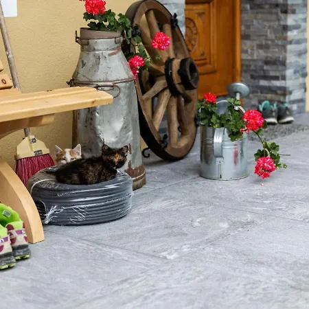 Διαμέρισμα Spacious In Hinterglemm With Ski Boot Heaters
